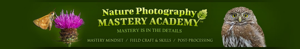Nature Photography Master Academy. Mastery is in the details.