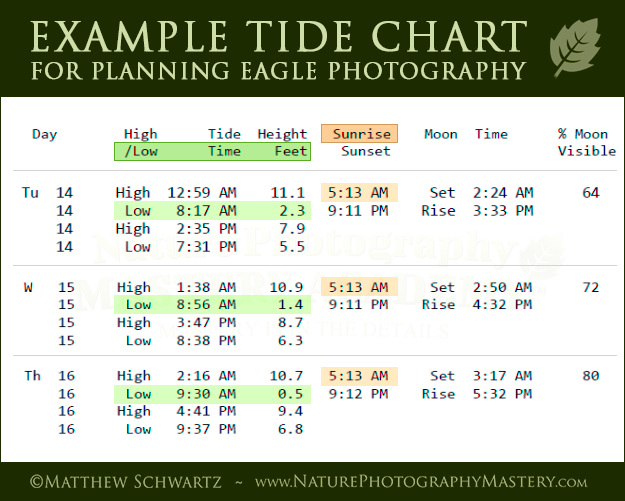 Example tide chart for planning eagle photography - Copyright Matthew Schwartz - NaturePhotographyMastery.com