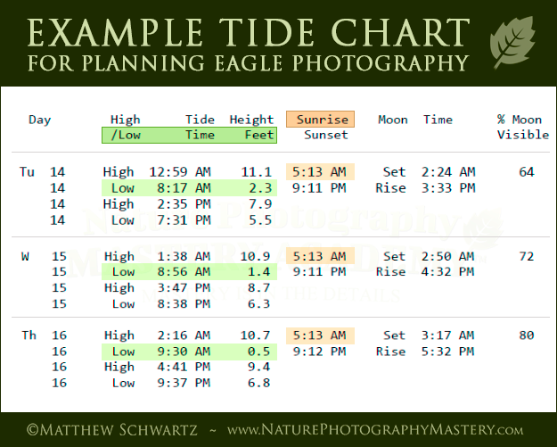 Hood Canal Tide Chart 2017