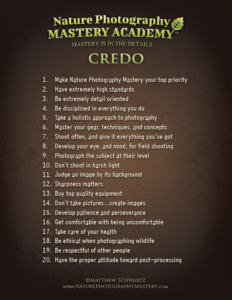 The Nature Photography Mastery Academy Credo Preview Thumbnail