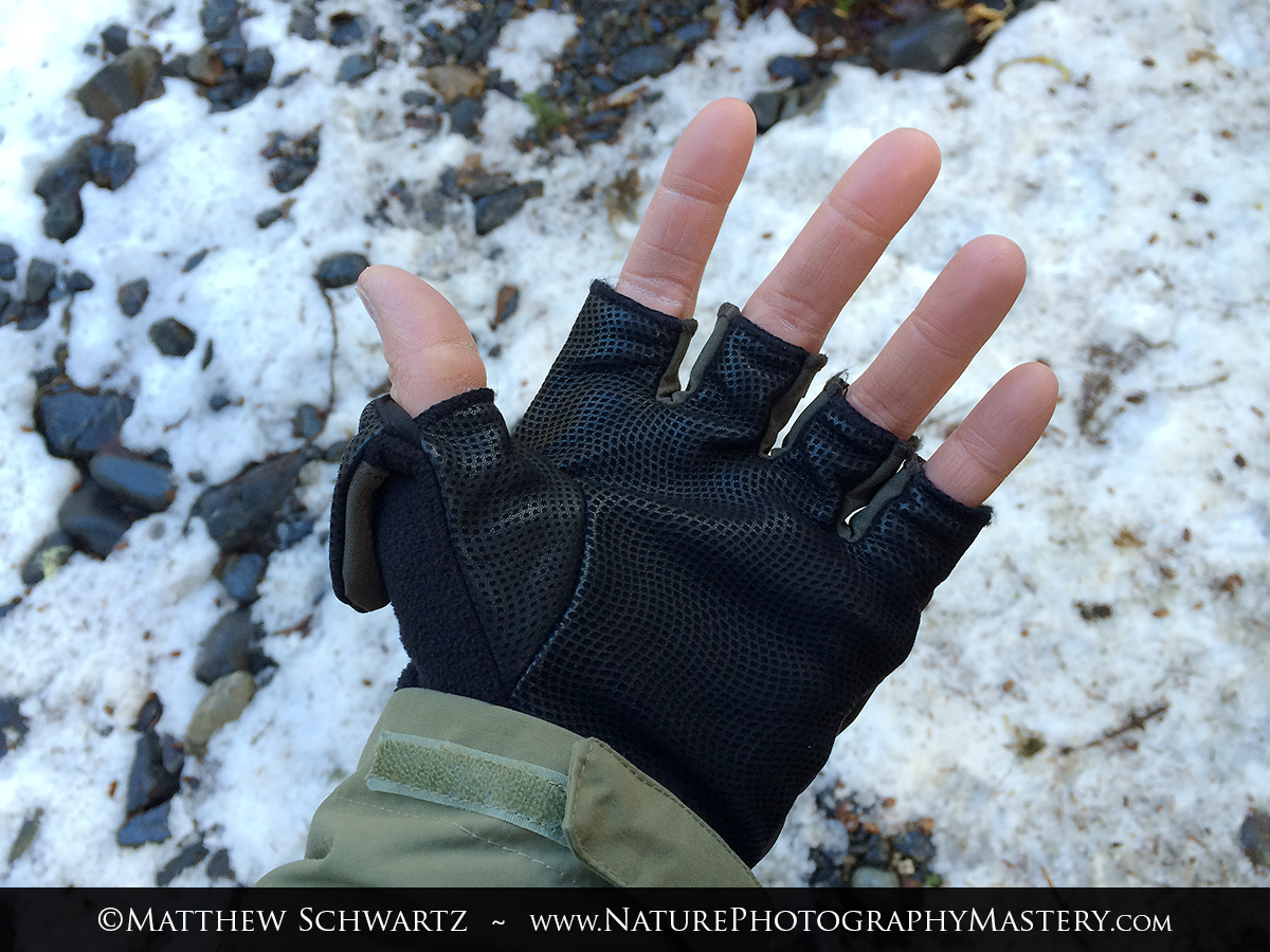 Sealskinz Outdoor Sports Mitten Nature Photography Mastery Academy