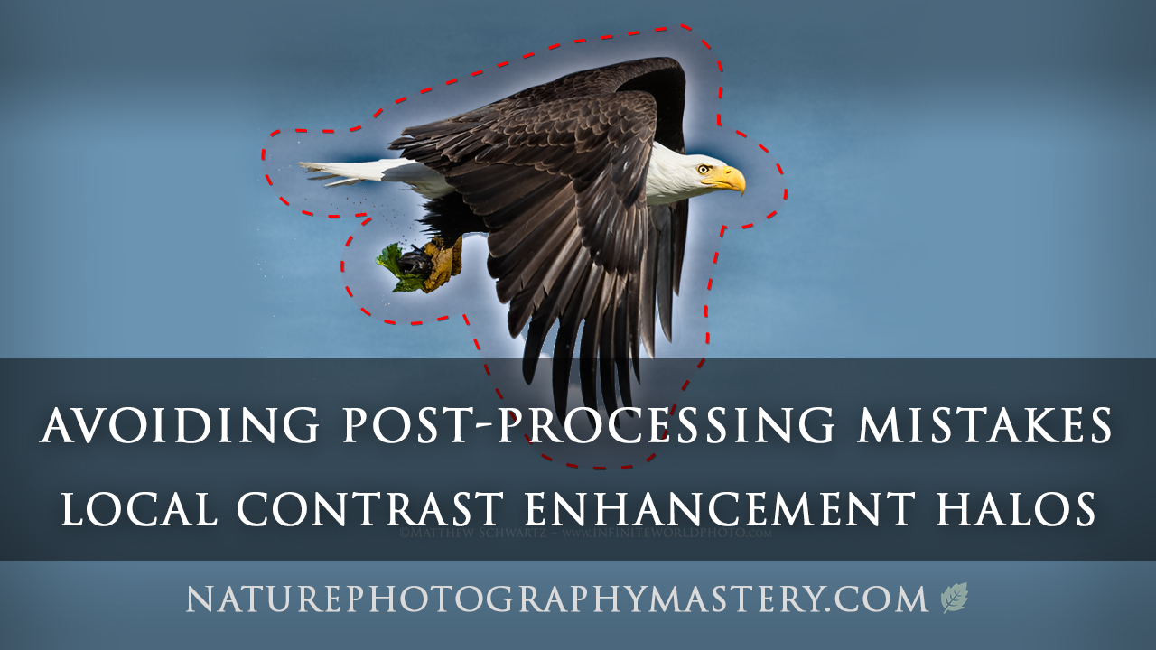 Avoiding Post-Processing Mistakes - Local Contrast Enhancement Halos